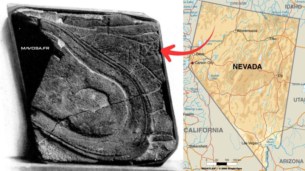 Semelle pétrifiée Nevada