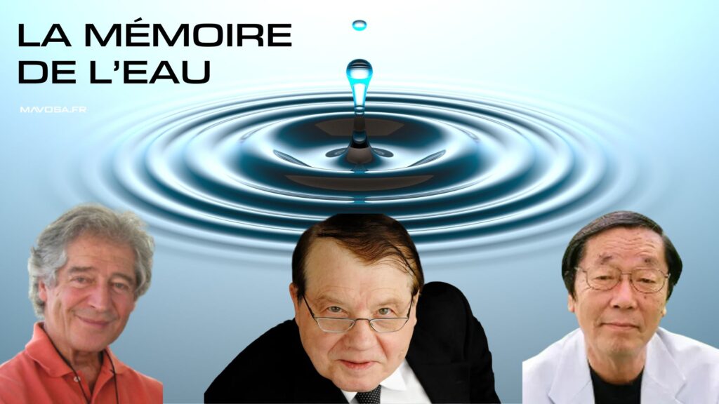 La mémoire de l'eau