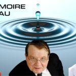 La mémoire de l'eau
