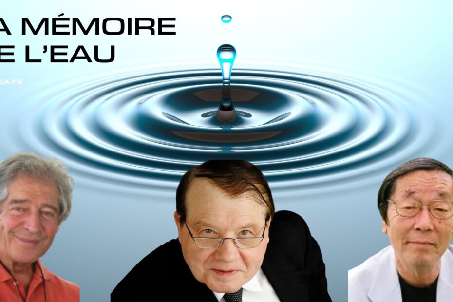 La mémoire de l'eau